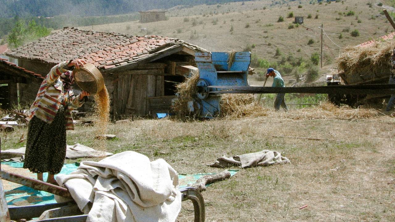 भारत के 15 राज्‍यों में अनुबंध खेती को मंजूरी, जानें किसानों को क्‍या होगा फायदा 