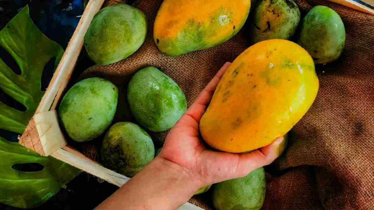 क्या आप भी खाते हैं कार्बाइड से पके आम? जानिए पहचानने का आसान तरीका