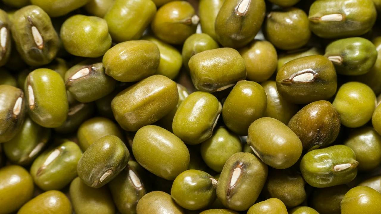 मार्च से अप्रैल के बीच करें हरी-मूंग की खेती, किसानों को होगा ज्यादा फायदा