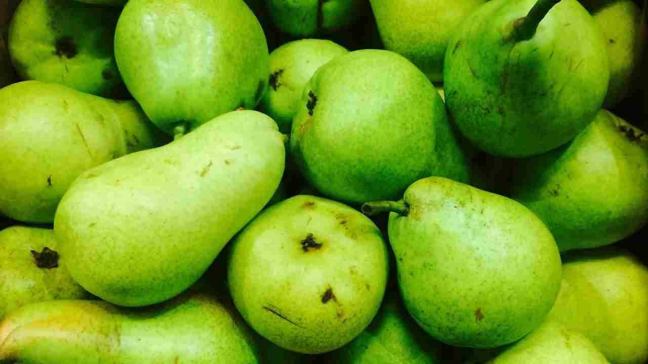 नाशपाती की खेती से लाखों की कमाई, जानिए किन बातों का रखें ख्याल