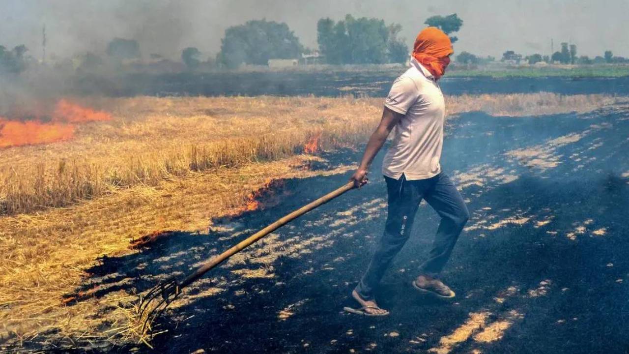 देश में पराली जलाने के मामलों में 23 प्रतिशत की बढ़ोतरी, MP-UP में हालात सबसे गंभीर