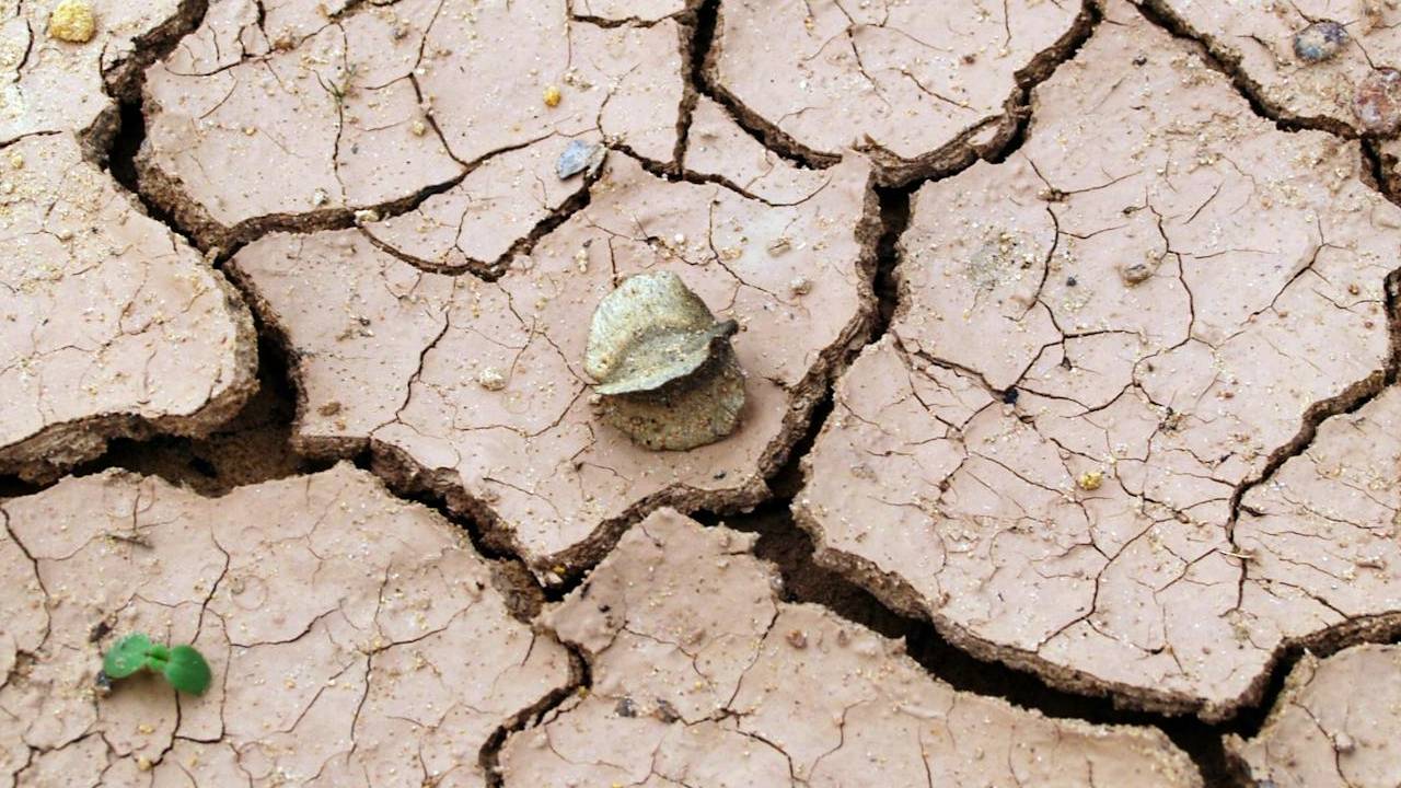 कश्मीर में सूखे जैसे हालात, किसानों की मदद के लिए इमरजेंसी प्लान तैयार