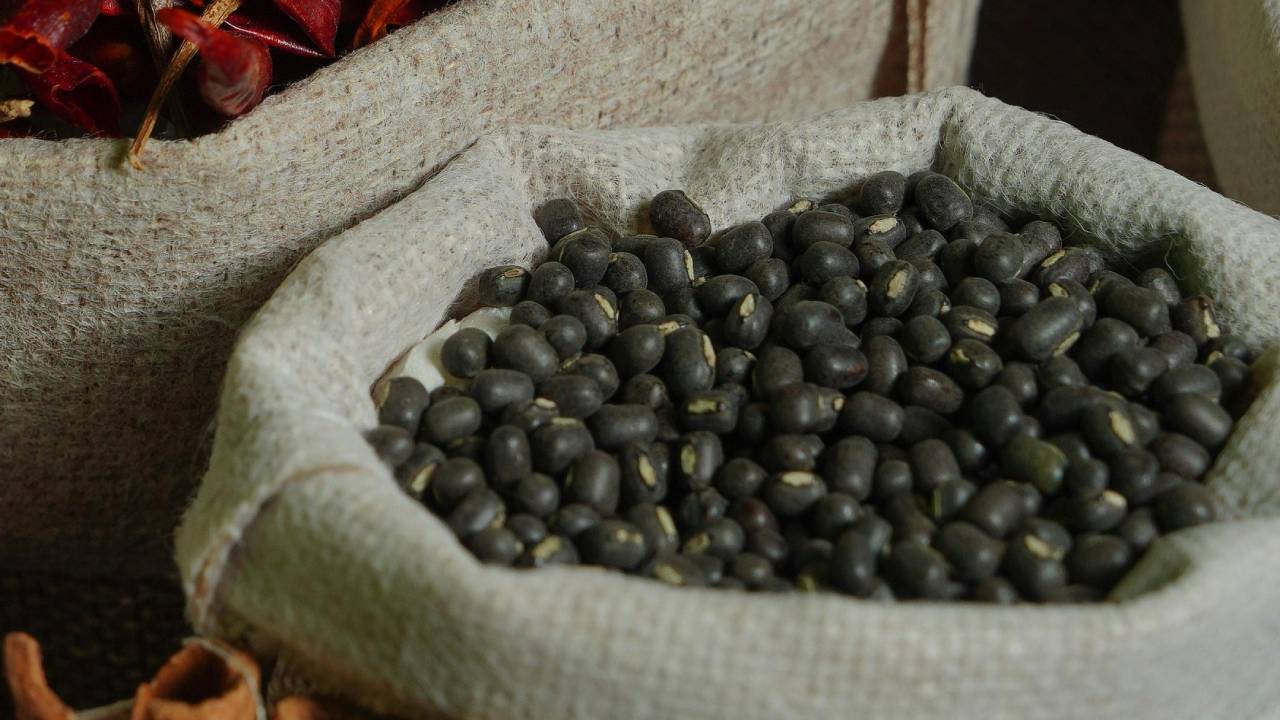 अप्रैल में उड़द की ये किस्‍म देती है किसानों को जमकर मुनाफा