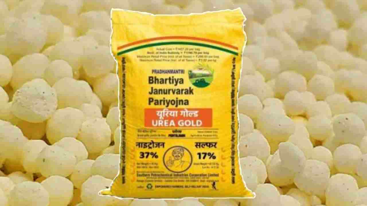 यूरिया गोल्ड के इस्तेमाल से कैसे दोगुनी होगी फसल? जानिए पूरी जानकारी