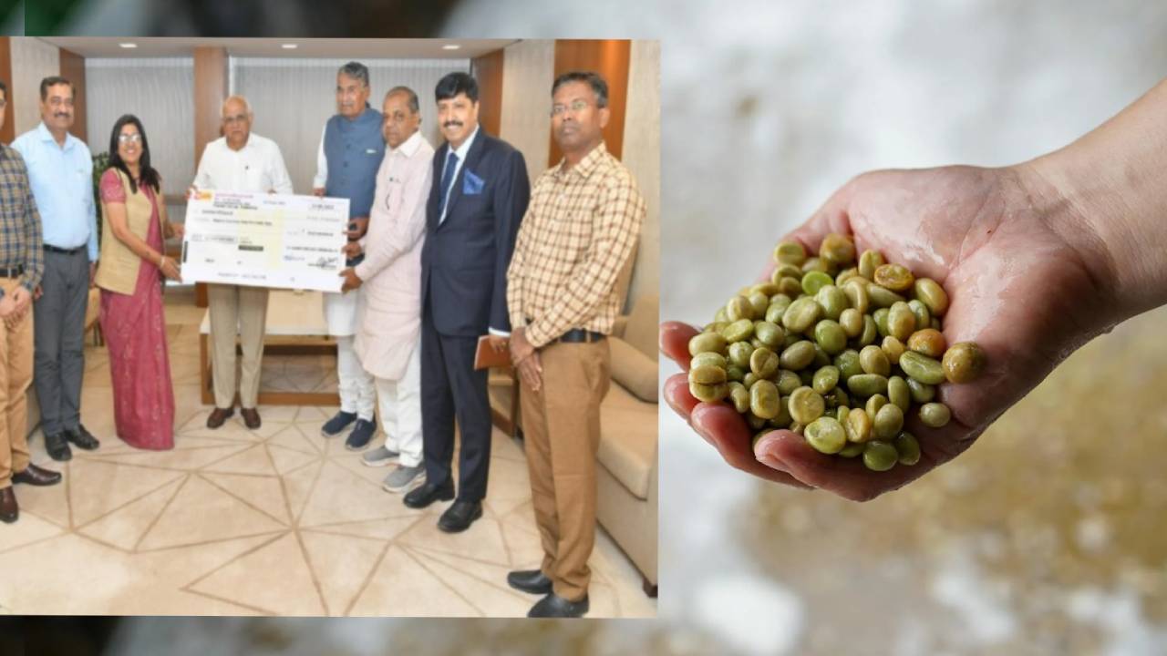 गुजरात राज्य बीज निगम ने किसानों को बांटे 2.62 लाख क्विंटल बीज