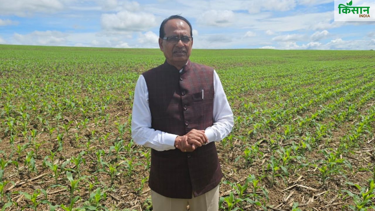विदेशी धरती पर खेतों में उतरे कृषि मंत्री, टमाटर-सोयाबीन में तकनीक इस्तेमाल पर जोर
