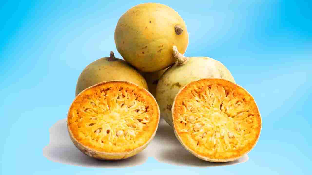 बेल के पौधे में छुपा है स्वास्थ्य और आमदनी का राज, जानिए कैसे करें खेती