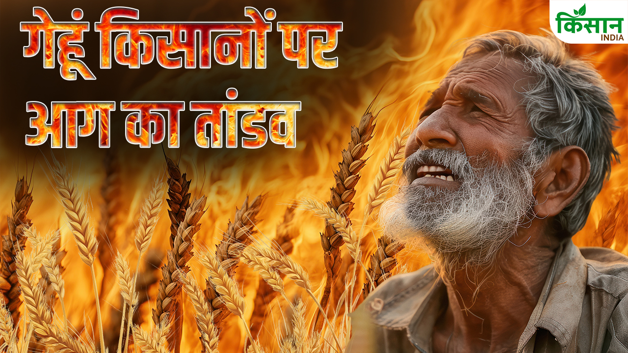 यूपी समेत कई राज्यों में आग का कहर..खेतों में धधकती आग में जले किसानों के सपने, मुआवजे पर ठनी