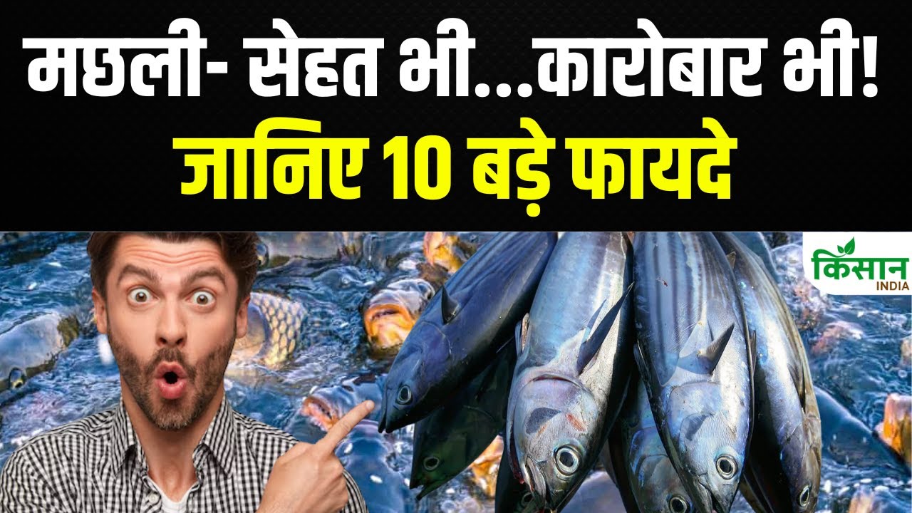 मछली पालन से अच्छी होगी कमाई, जानकर आप भी हो जाएंगे हैरान