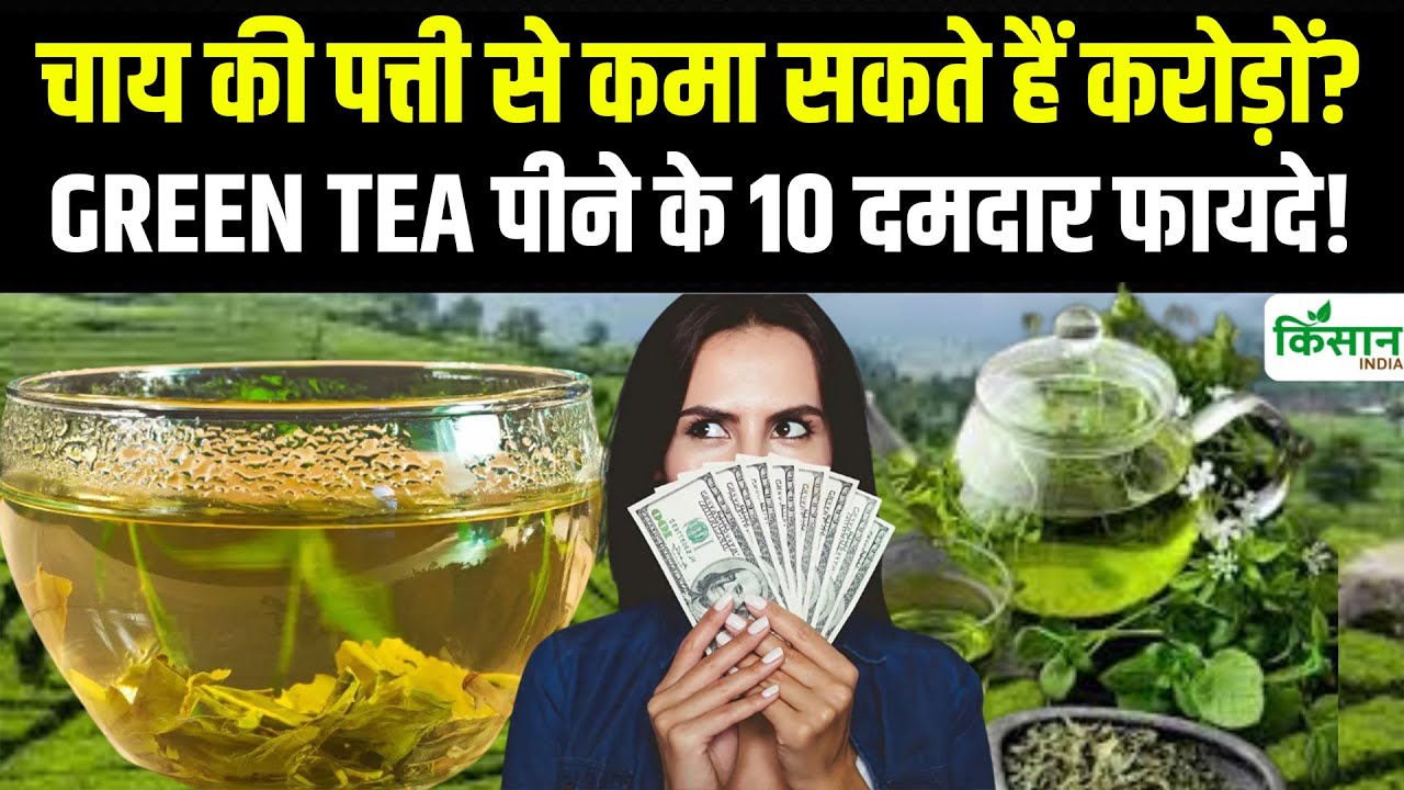 सेहत के लिए अच्छी है ग्रीन टी, जानें इसके 10 बेहतरीन फायदे