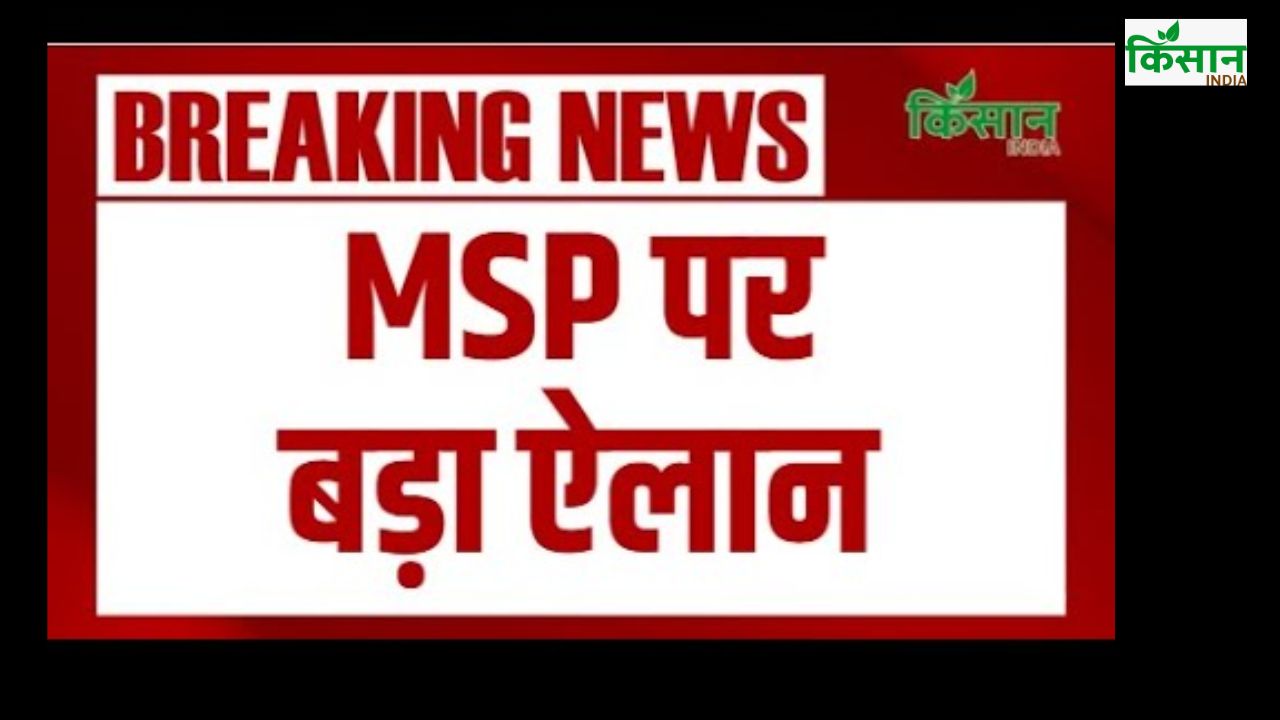 MSP पर Haryana के CM Nayab Singh Saini ने किया बड़ा ऐलान