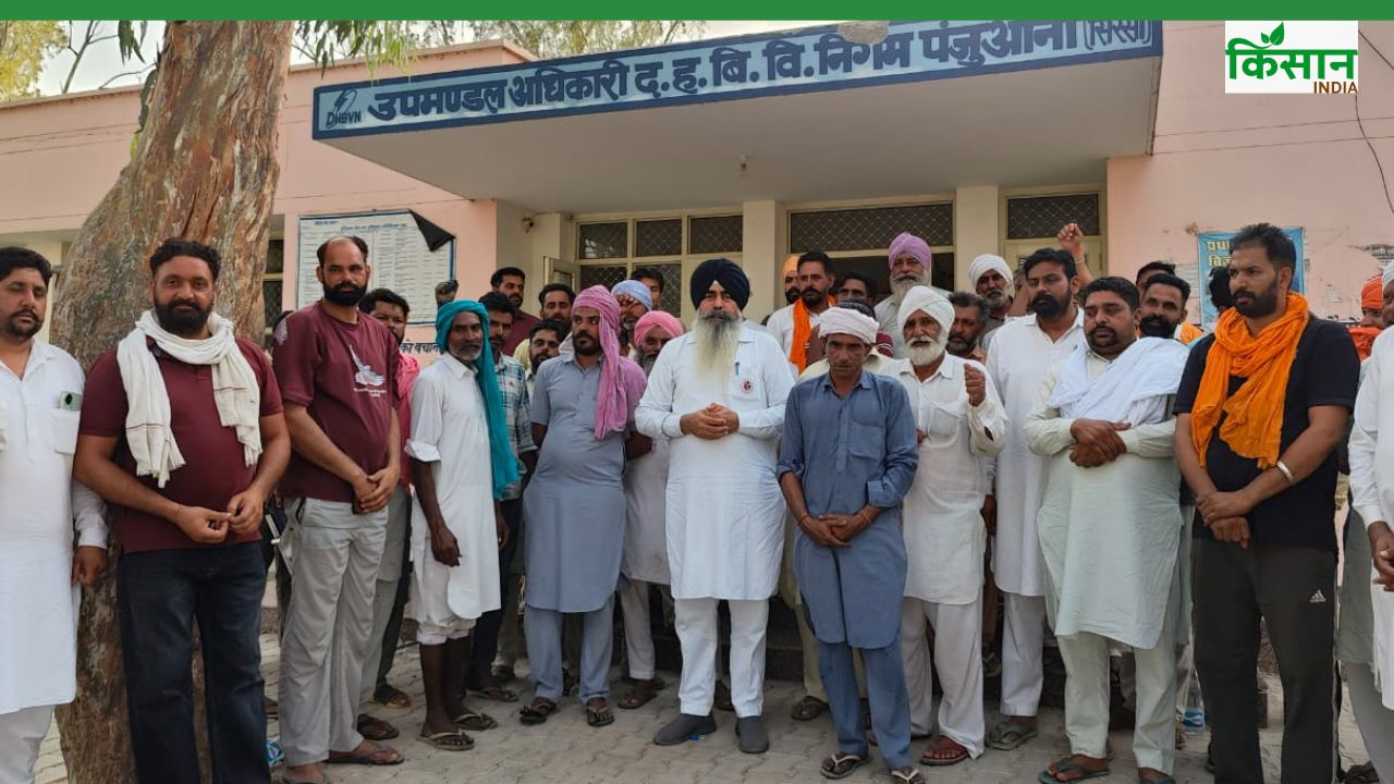हरियाणा में 3 दिन में 42 एकड़ गेहूं जला, मुआवजे को लेकर किसानों का उग्र प्रदर्शन