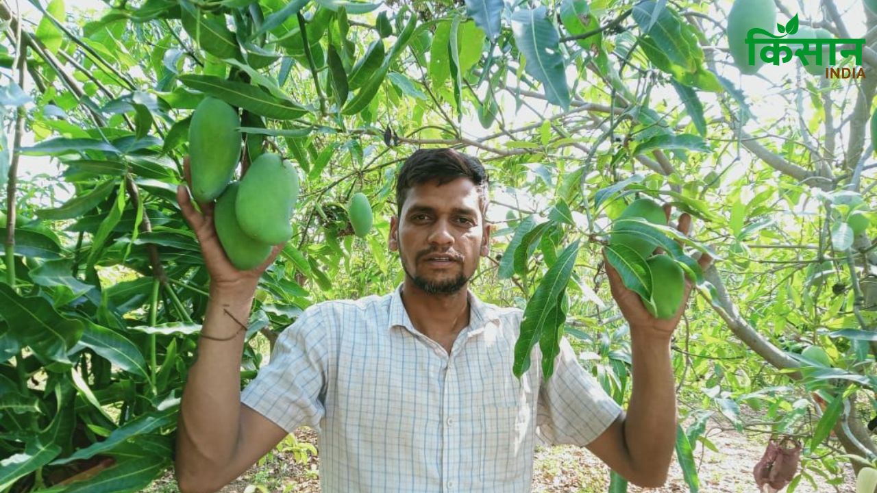 जॉब छोड़ी, खेत संभाला..5 बीघे में रचा 20 बीघे जितनी कमाई का फार्मूला