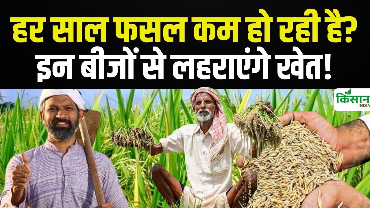 खरीफ सीजन में करें इन फसलों की बुवाई, होगी अच्छी पैदावार