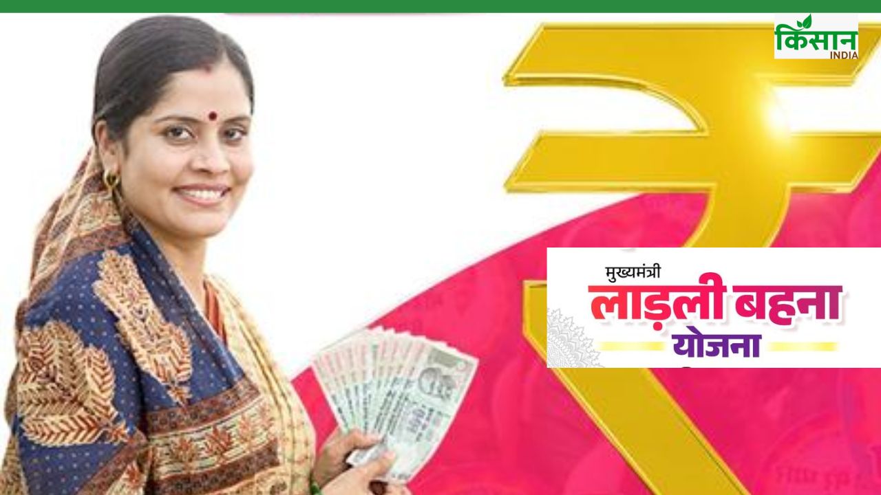Ladli Behna Yojana: 1.27 करोड़ बहनों के खाते में पहुंचे 1250 रुपये, पेंशन और सिलेंडर राशि भी भेजी