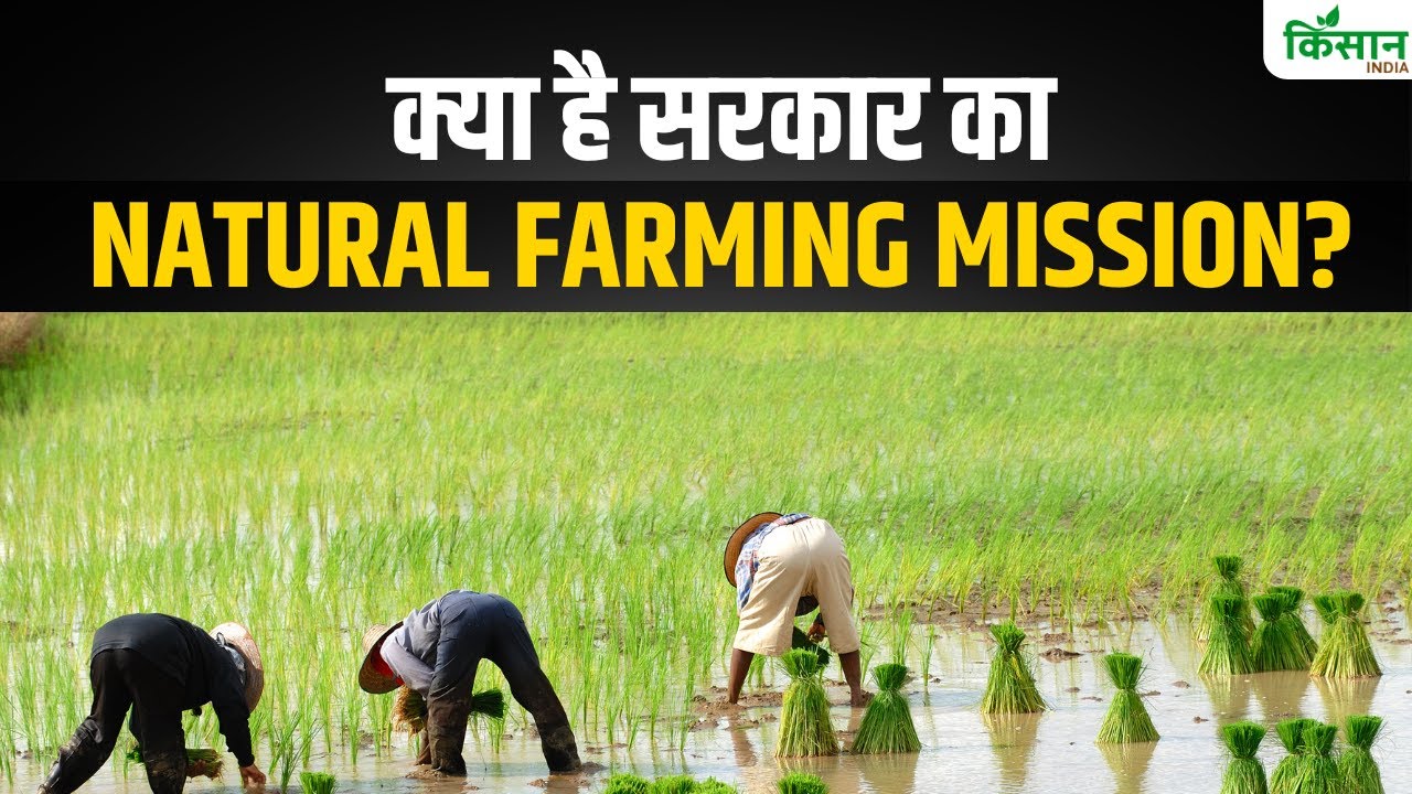 क्या है राष्ट्रीय प्राकृतिक खेती मिशन, किसानों को लाभ देने के लिए हुई शुरुआत