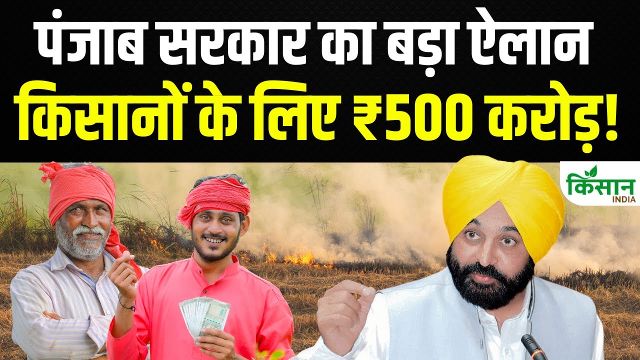 पराली प्रबंधन के लिए पंजाब सरकार का बड़ा फैसला, बढ़ेगी किसानों की कमाई