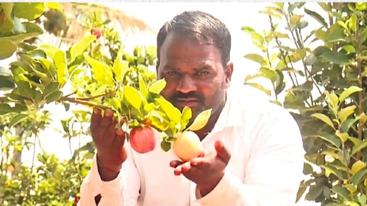 सेब किसान श्रीशैल तेली की पीएम ने की तारीफ, कहा- मैदानी इलाकों में सफलता से कर रहे खेती
