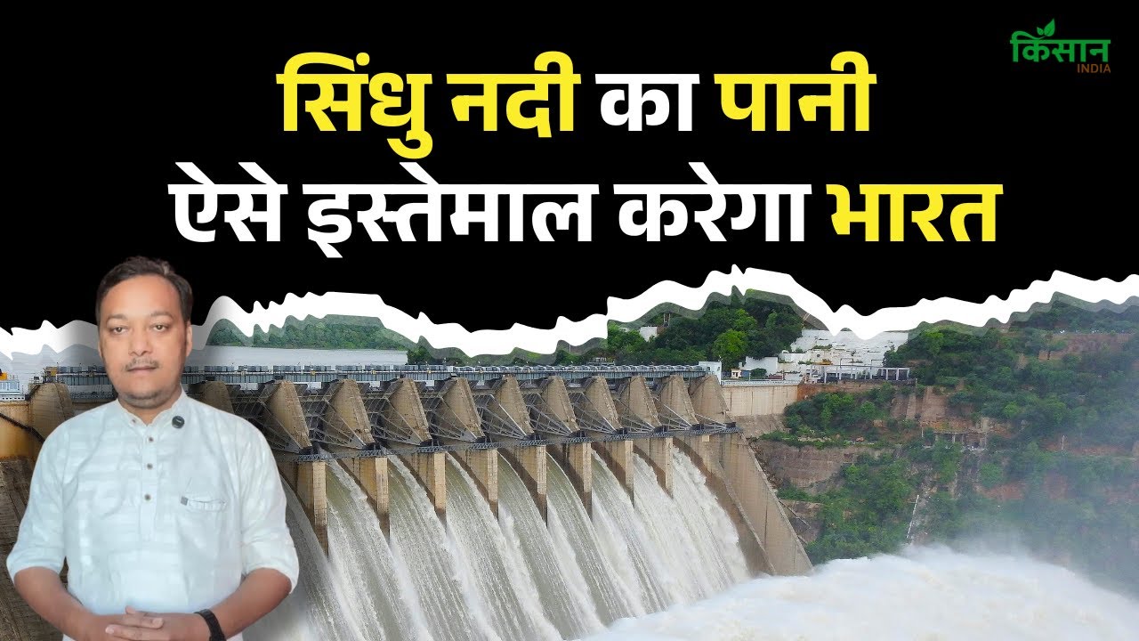 सिंधु समेत 6 नदियों का पानी बनेगा भारत की तरक्की का रास्ता, जानें क्या होगा कृषि क्षेत्र पर असर