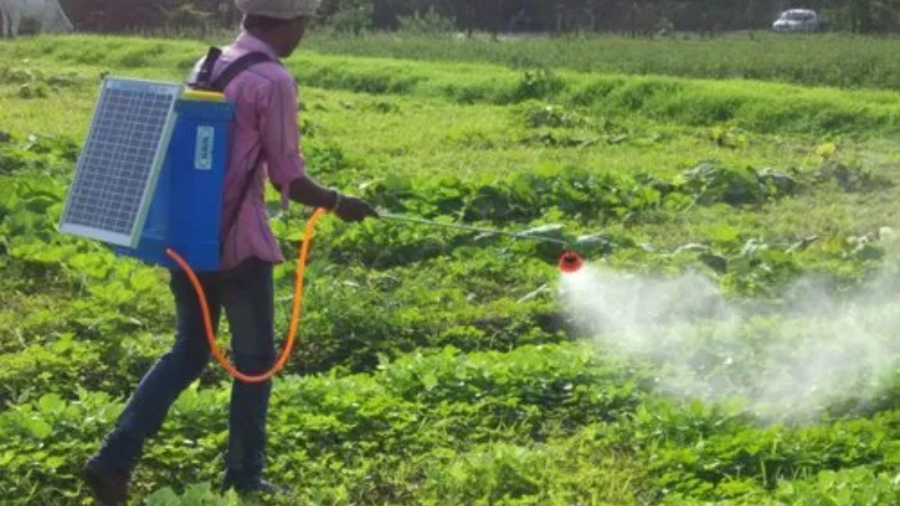 Solar Sprayer: 8 हजार रुपये की मशीन अकेले करेगी 6 लोगों का काम, छिड़काव में होगी आसानी
