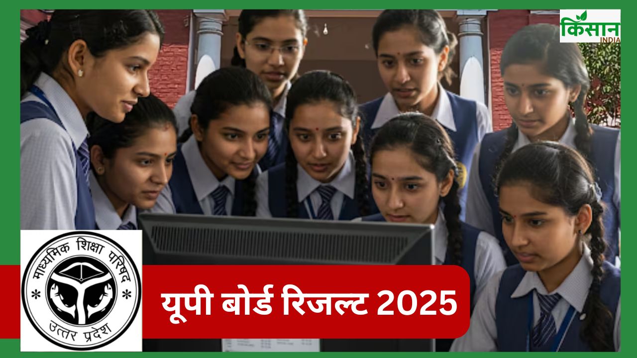 UP Board Result 2025: यूपी बोर्ड 10वीं-12वीं का रिजल्ट जारी, डिजिलॉकर से डाउनलोड करें मार्कशीट