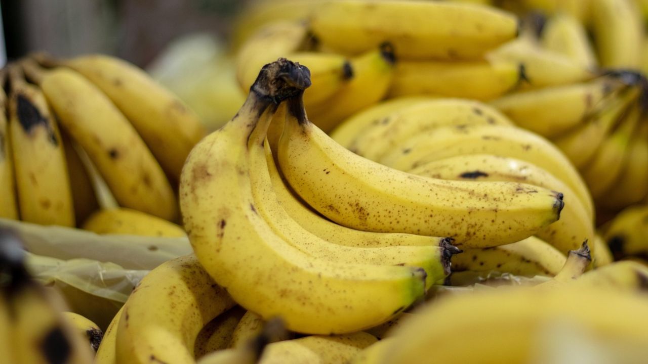 केला की खेती का सेंटर बनेगा ये शहर, 3 हजार हेक्टेयर में होगी Banana Farming