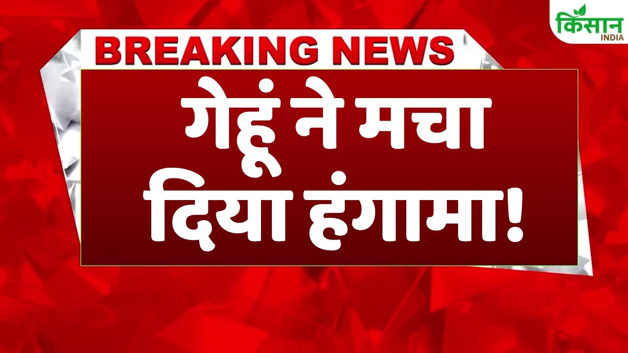 किसानों के लिए खुशखबरी, गेहूं पर मिला MSP से ज्यादा दाम