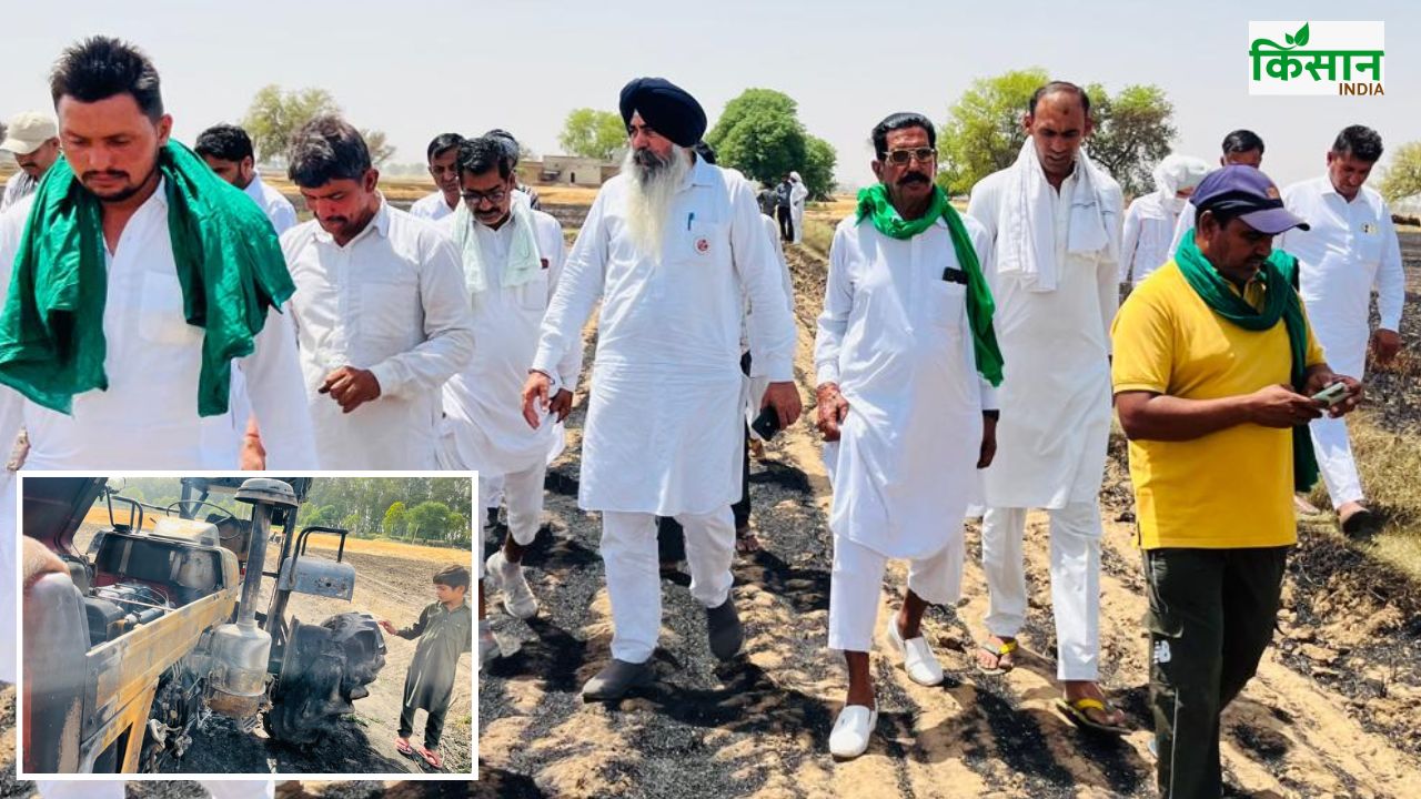 700 एकड़ गेहूं में लगी आग बुझा रहा ट्रैक्टर भी जला..किसान की मौत, सीएम तक पहुंचा मुद्दा