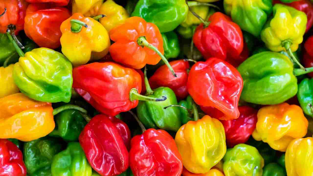 दुनिया की 5 सबसे तीखी मिर्च, छूने से भी कांप उठेंगे आप