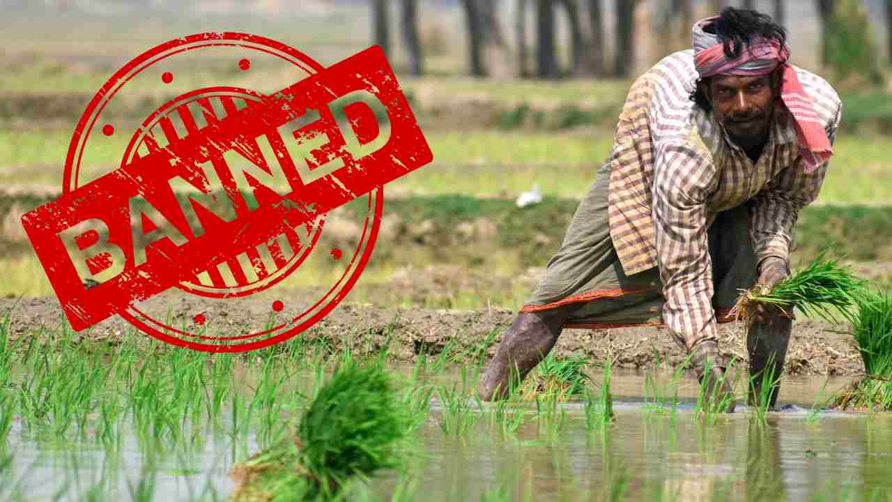 15 जून से पहले धान की रोपाई पर रोक, नियम तोड़ा तो होगी कार्रवाई