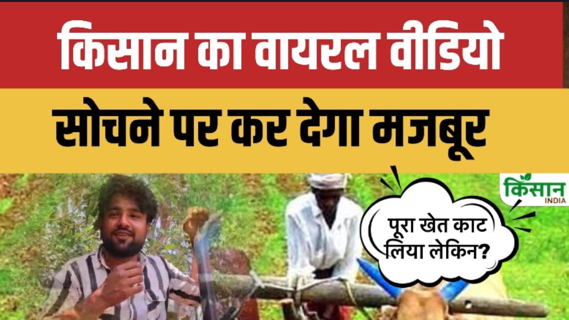 बदला मौसम, टूटती उम्मीदें: एक किसान की सच्ची कहानी