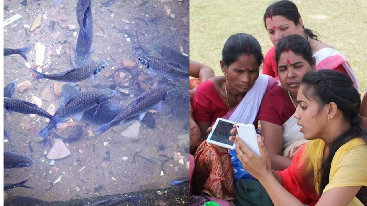 मछलीपालकों के लिए वरदान बना एरिएशन सिस्टम, महिलाओं को मिलती है सब्सिडी