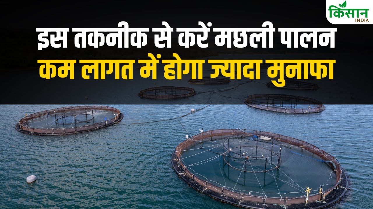 इस तकनीक से करें मछलीपालन, सरकार दे रही सब्सिडी