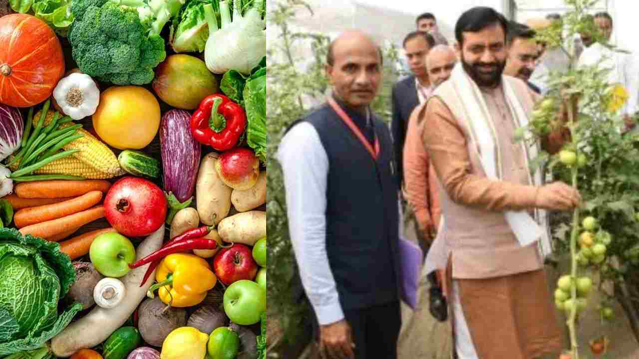 हरियाणा के खेतों में इजरायली तकनीक का असर, बागवानी में  37% का इजाफा