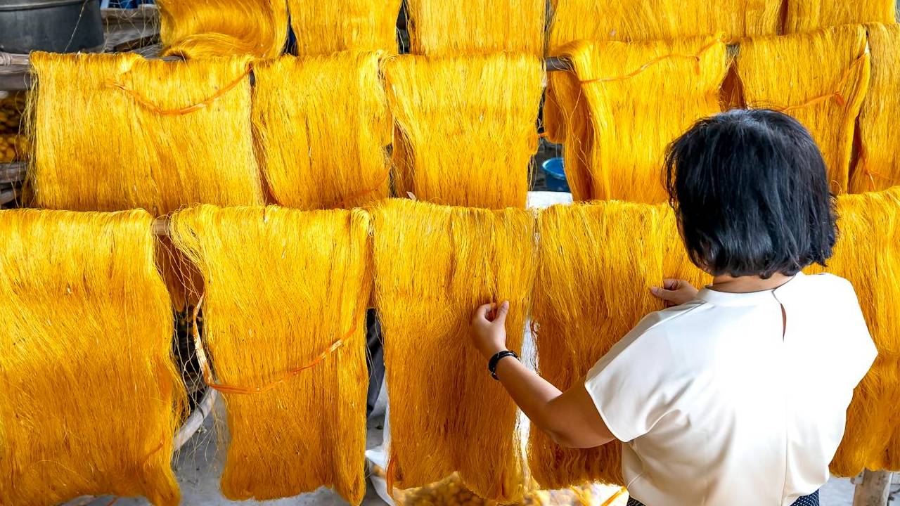 सिल्क रीलर्स को हो रहा है भारी नुकसान, व्यापारियों ने नई मशीनें खरीदने के लिए सब्सिडी मांगी