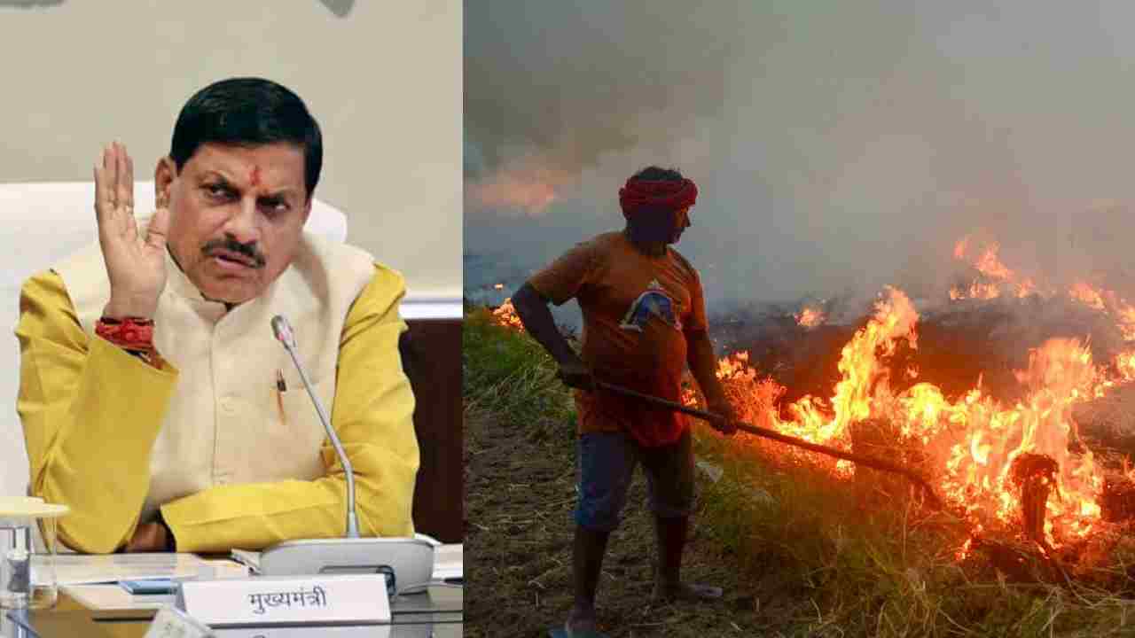 MP में पराली जलाने पर कड़ा एक्शन, किसानों को 1 मई से नहीं मिलेगा सरकारी लाभ