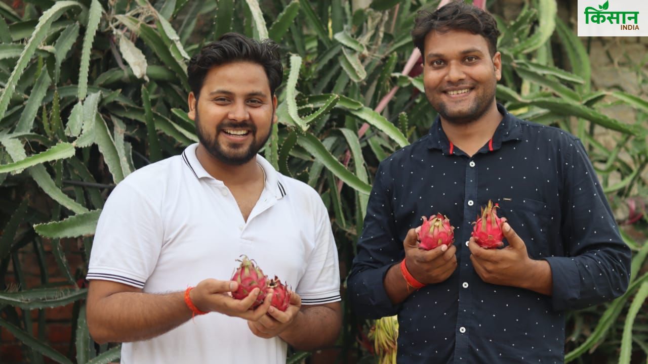 ड्रैगन फ्रूट की खेती ने बनाया सेलिब्रिटी किसान, कमा रहे 30 लाख रुपये