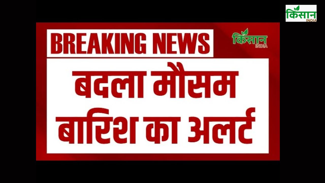 मौसम ने बदली करवट…आंधी-बारिश का अलर्ट