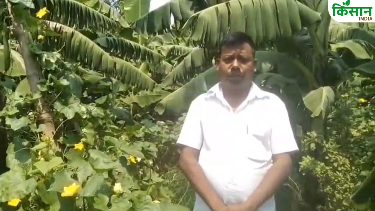 केले के खेत में किसान का अनोखा फार्मूला, देखकर चकित हुए लोग..अब हो रही बंपर कमाई