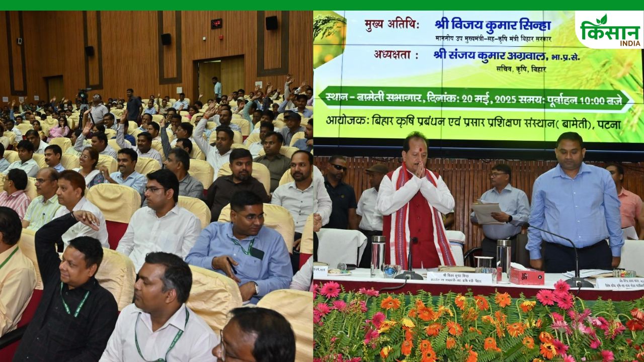 बिहार में खरीफ फसलों की वैज्ञानिक खेती पर जोर, जैविक खेती को भी मिलेगा बढ़ावा