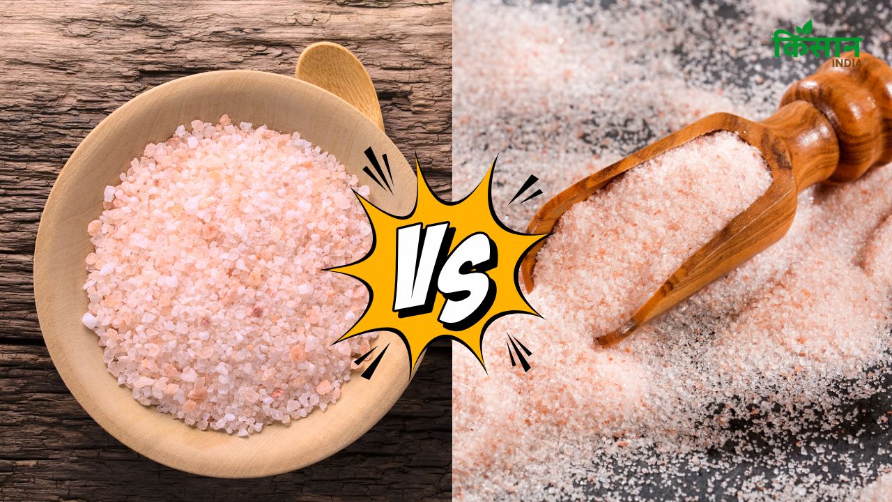 Black Vs Rock Salt क्या आप जानते हैं दोनों के बीच का फर्क? कौन सा है आपके लिए बेस्ट