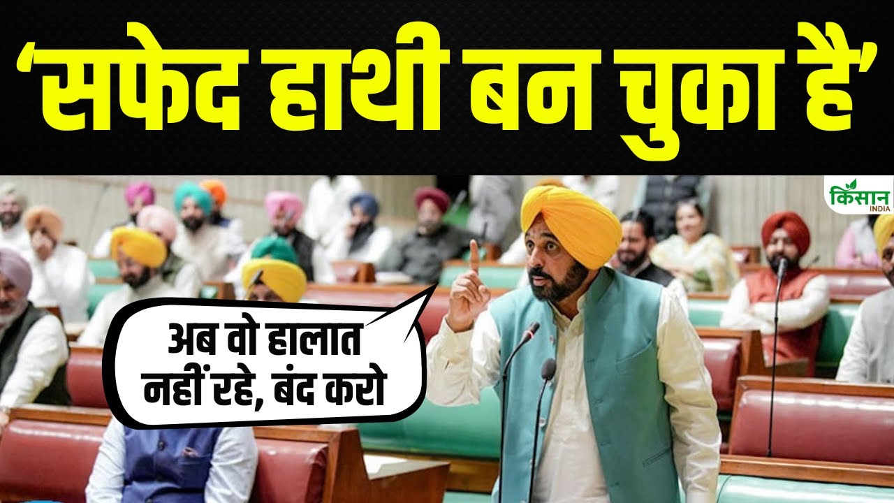 पानी को लेकर सीएम भगवंत मान ने दिया बड़ा बयान, पिछली सरकार पर साधा निशाना