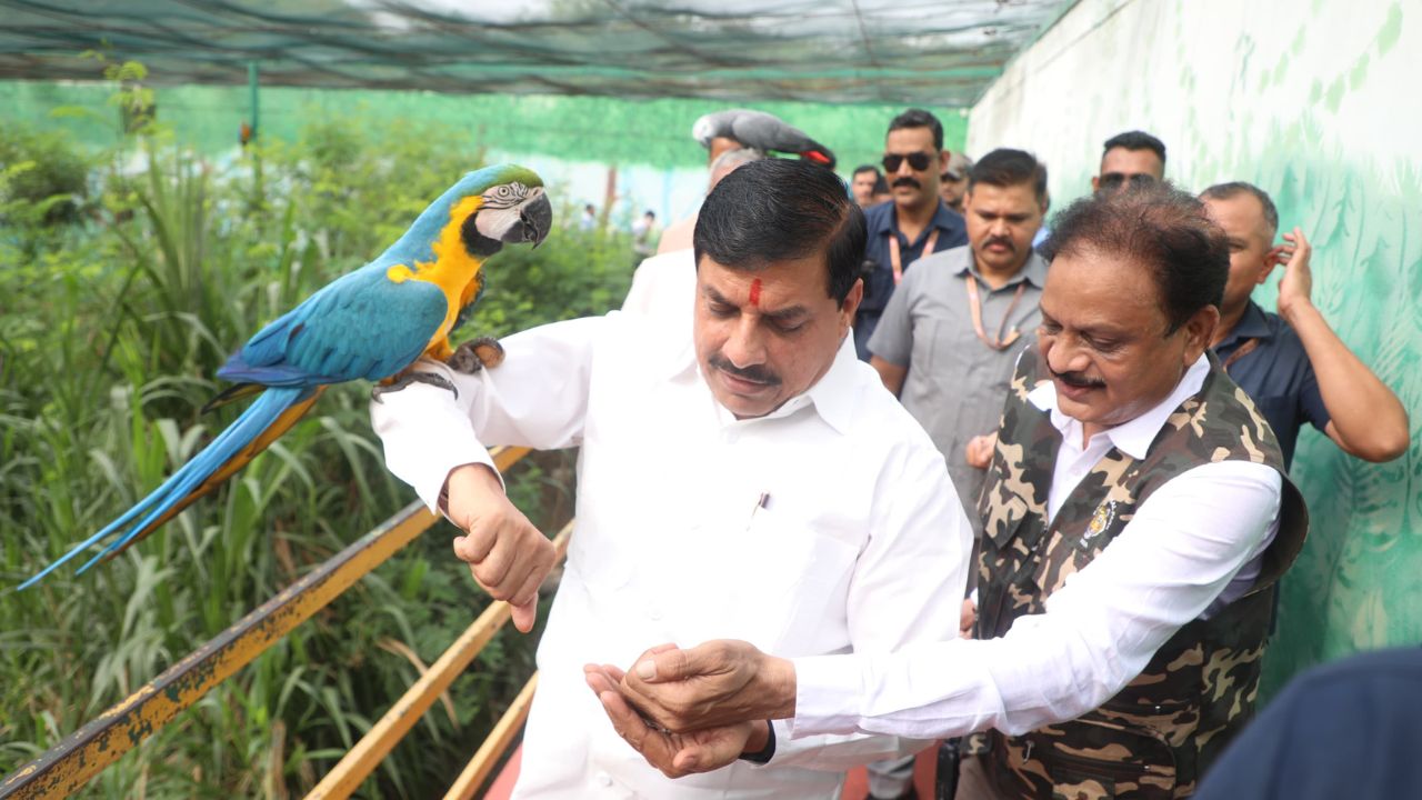 इंदौर के Snake Park में ‘सापों का राजा किंग कोबरा’,  CM मोहन यादव ने किया उद्घाटन