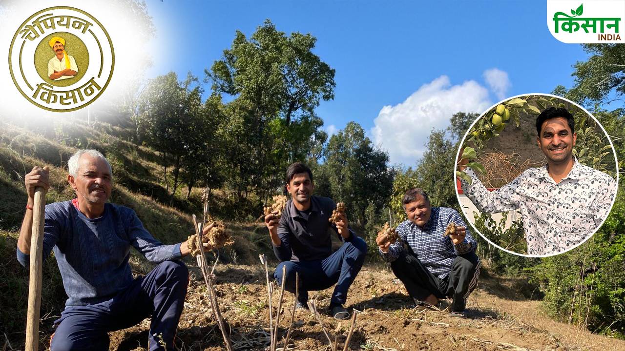 फ्रांस से लौटकर नीरज जोशी ने बदली बंजर जमीन की तस्वीर, अब विदेशियों को सिखा रहे खेती