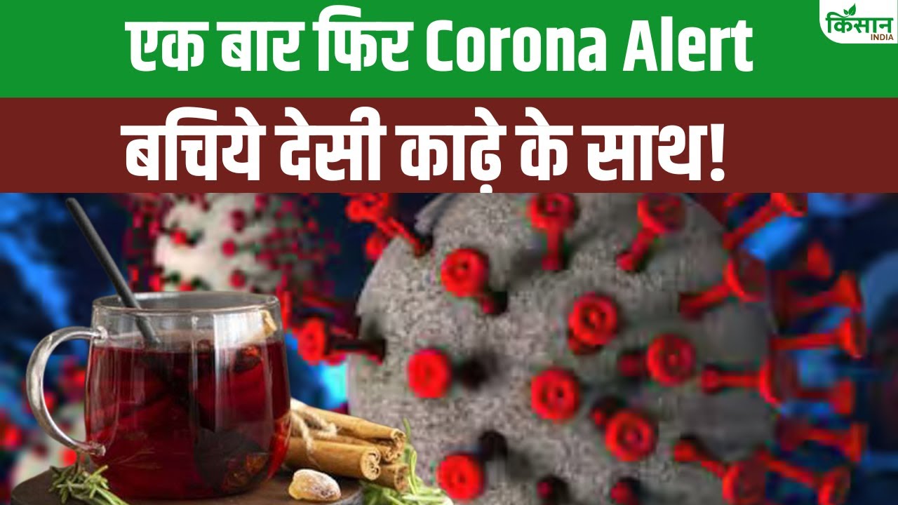 Health Tips: बढ़ रहा कोरोना का खतरा, इस काढ़े से बढ़ाएं इम्यूनिटी