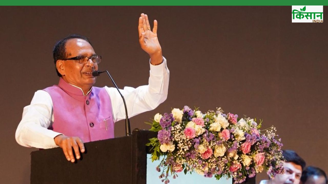 AI स्मार्ट ट्रैप डिवाइस से खत्म होगा पिंक बॉलवर्म, कपास किसानों को लाभ मिलेगा