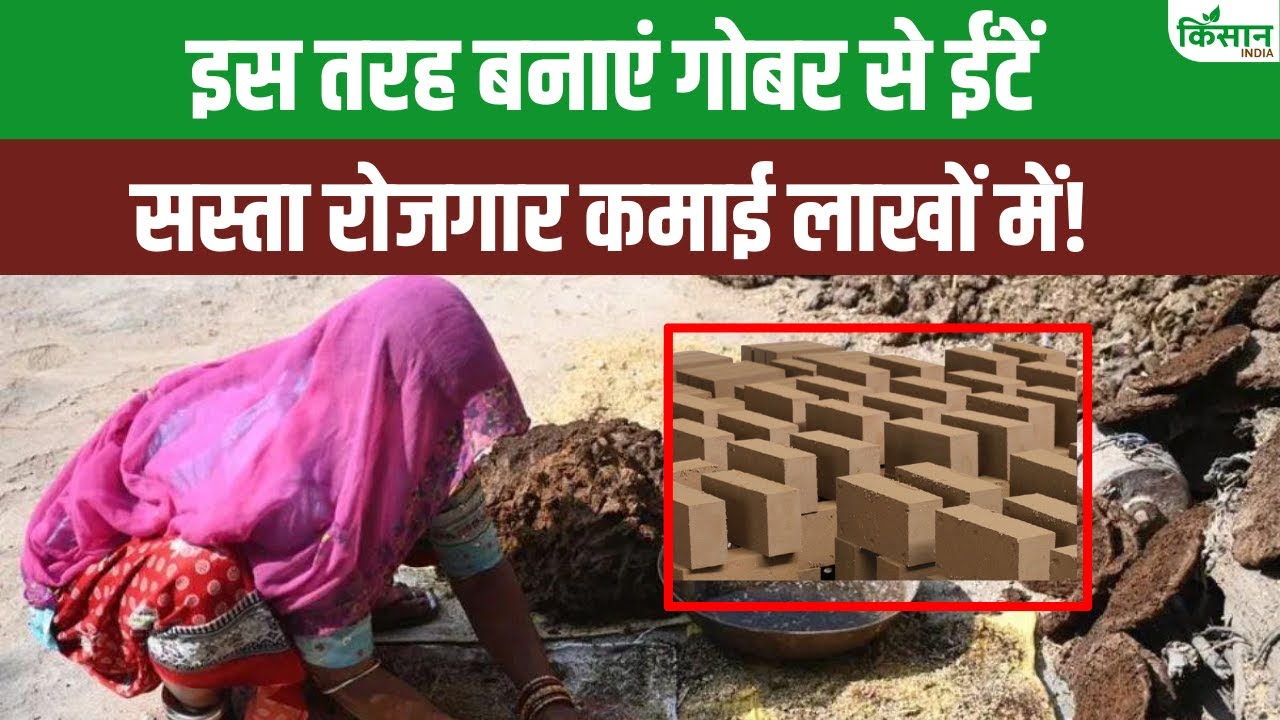 गोबर से बनाया बिजनेस मॉडल, जानें क्या है ये देसी स्टार्टअप