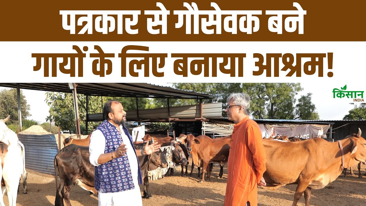 पत्रकार से गौसेवक बने दीपक, गौमाता की सेवा को बनाया जीवन का मिशन