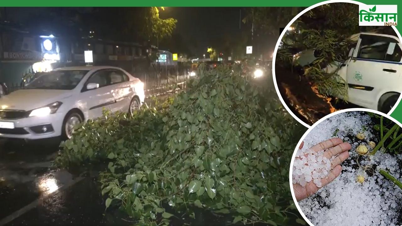 दिल्ली-एनसीआर में आंधी बारिश का कहर.. मेट्रो-फ्लाइट पर असर, बिजली कर्मी अलर्ट पर