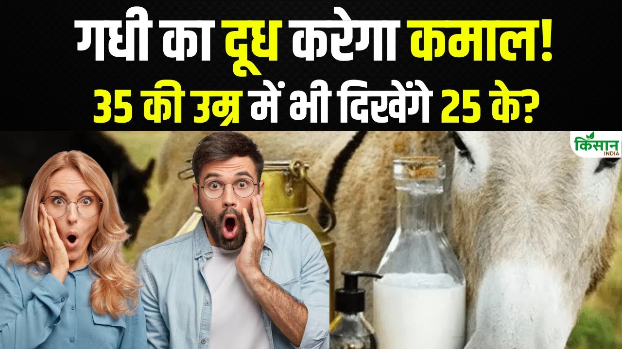 दवा के रूप में इस्तेमाल होता है ये दूध, कीमत जान हो जाएंगे हैरान
